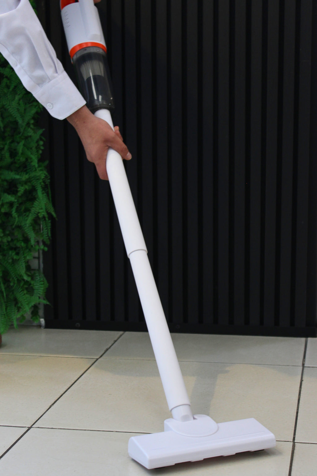 gid://shopify/MediaImage/24579383558238