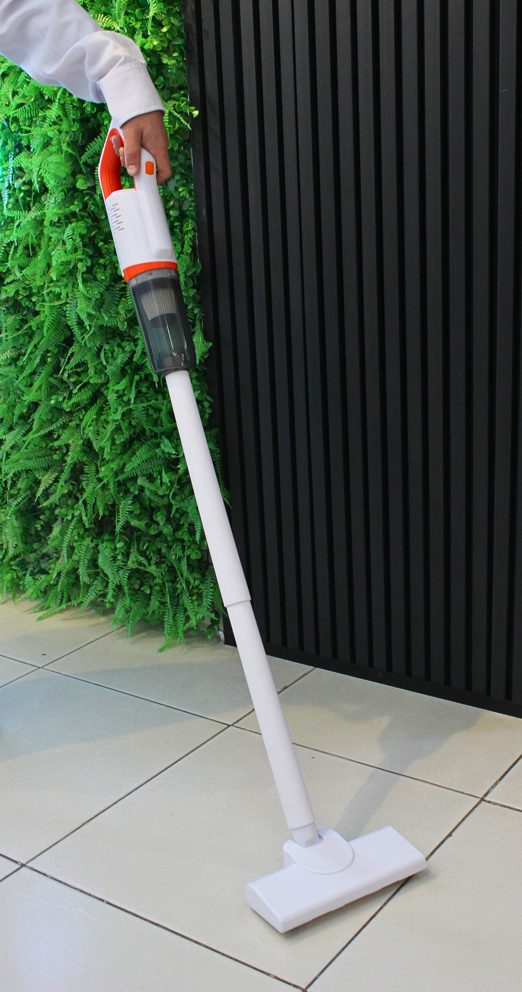 gid://shopify/MediaImage/24579383591006