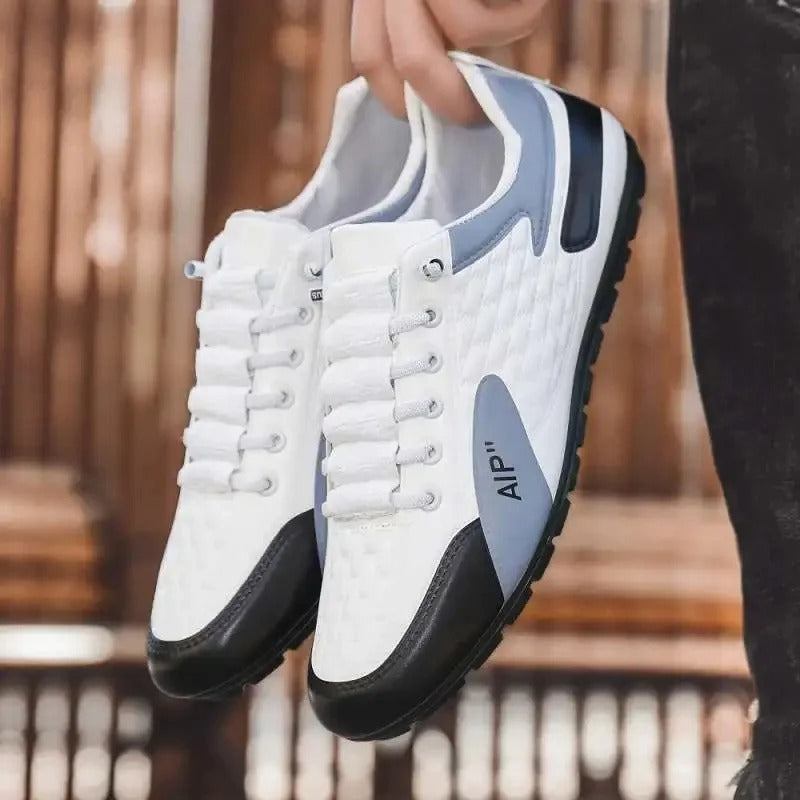 gid://shopify/MediaImage/24532703674462